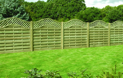 Fence Panels, Trellis & Gates