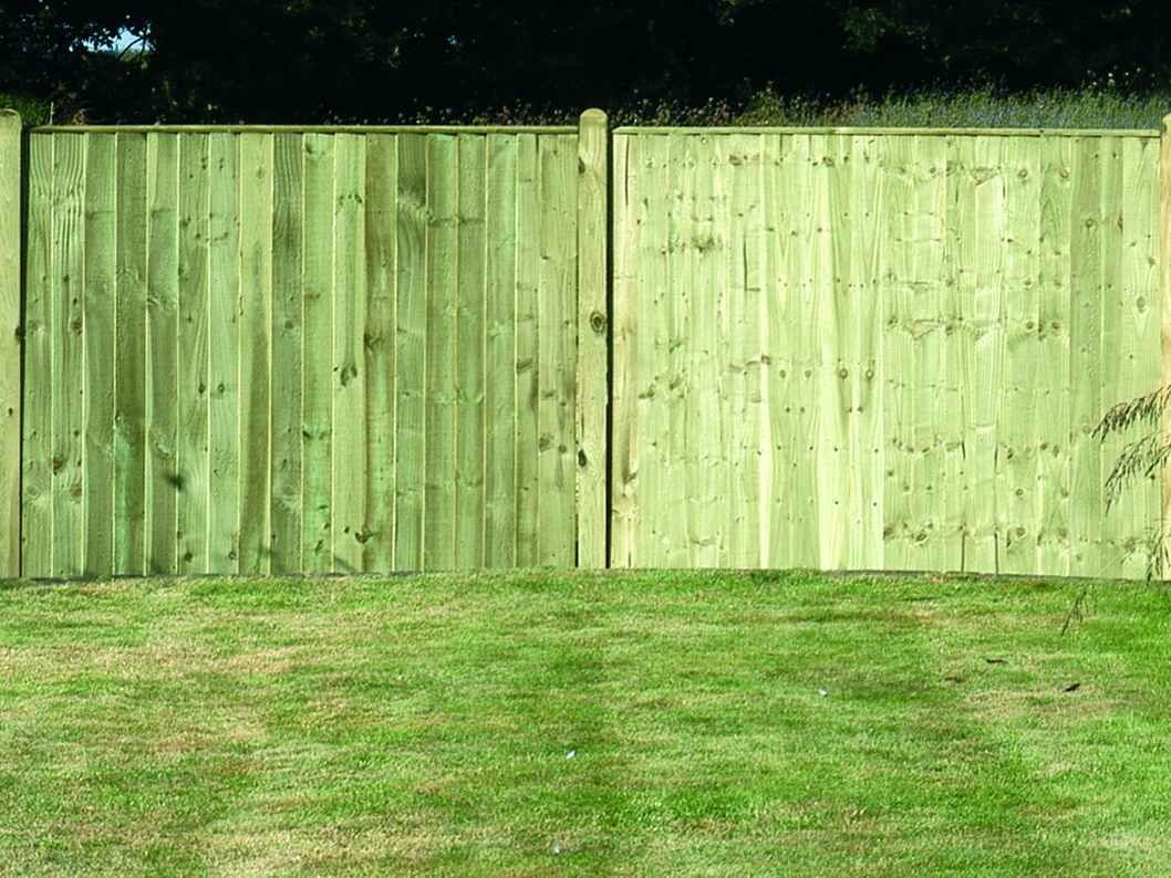 A fence in the garden